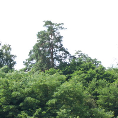 100_5932